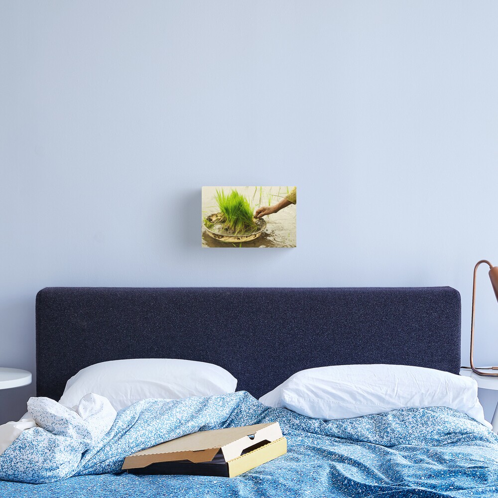 Item preview, Canvas Print designed and sold by bareri.