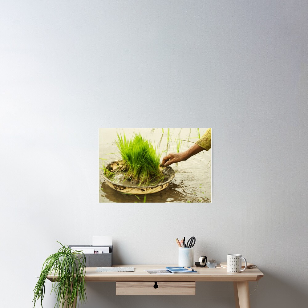 Item preview, Poster designed and sold by bareri.