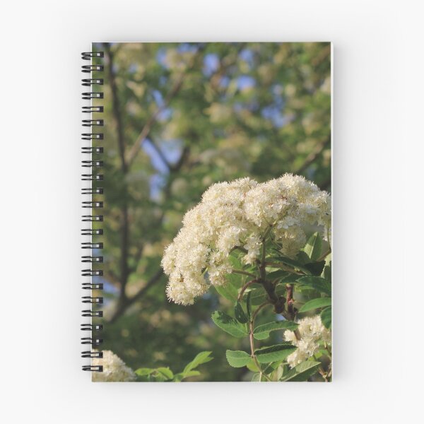 Item preview, Large white flowers photography designed and sold by SveaLeona.