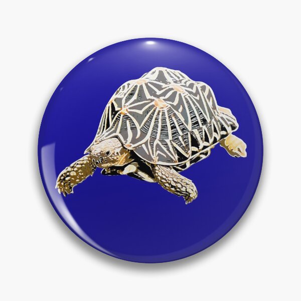 Artikelvorschau, Indian Star Tortoise Farbdruck entworfen und verkauft von designsasstultd.