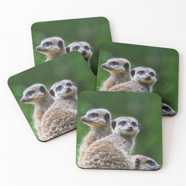 Item preview, Square crop meerkats on sentry duty designed and sold by wellsie82.