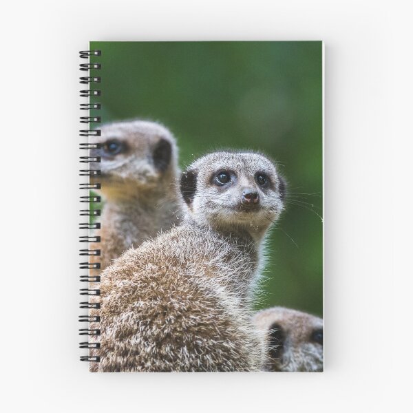 Item preview, Square crop meerkats on sentry duty designed and sold by wellsie82.