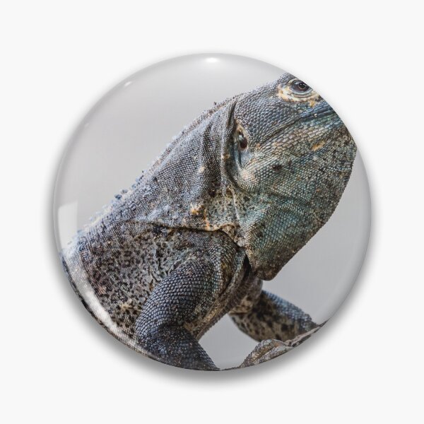 Item preview, Black ctenosaur on a tree designed and sold by wellsie82.
