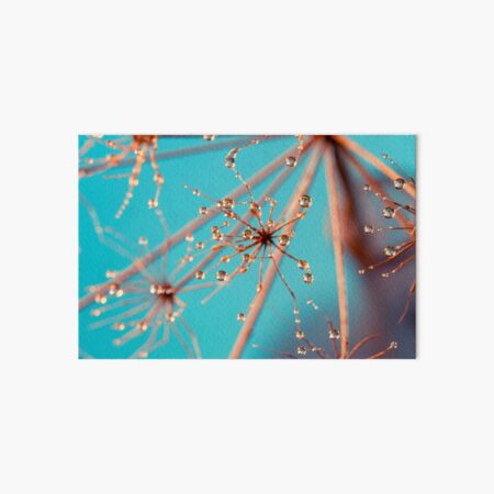 Queen Anne Lace in Blue Art Board Print