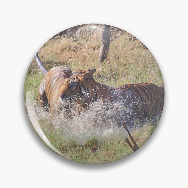 Item preview, Bengal Tigers Sparring designed and sold by Carole-Anne.