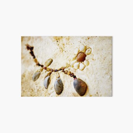 Pebble Daisy Art Board Print