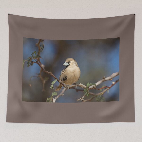 Item preview, Sociable Weaver (Philetairus Socius) designed and sold by Yair Karelic.