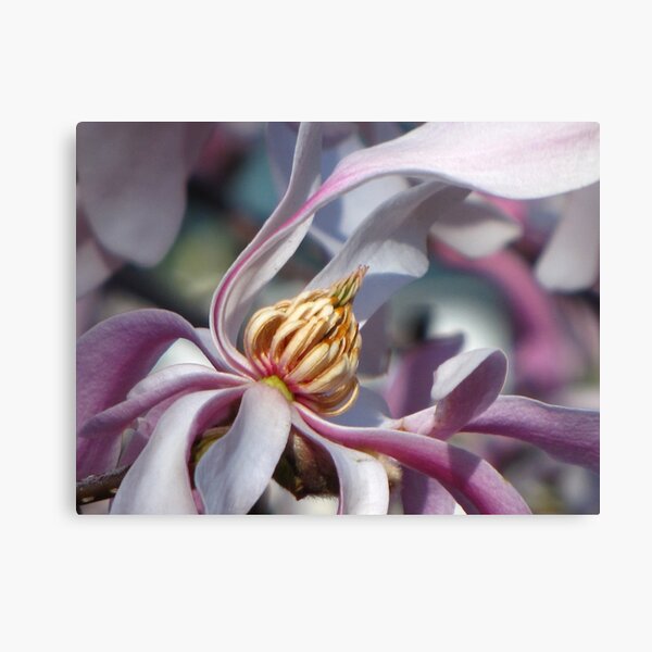 Item preview, Pink Magnolia designed and sold by LudaNayvelt.