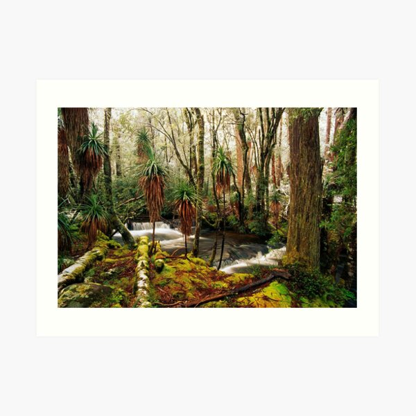 Pine Valley in winter Art Print