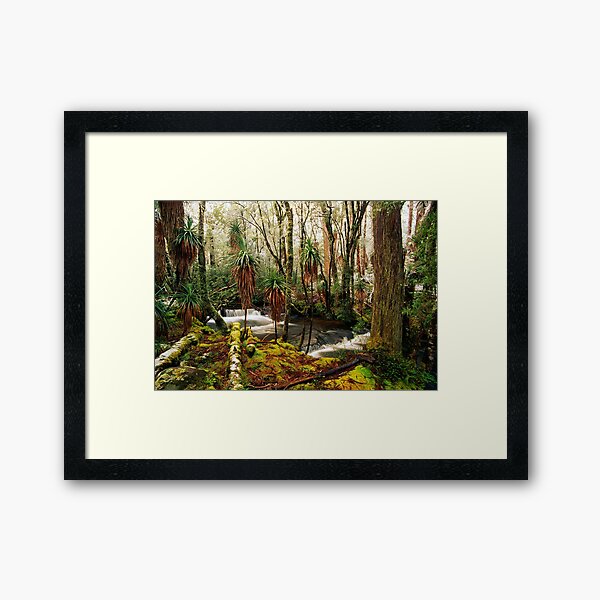 Pine Valley in winter Framed Art Print