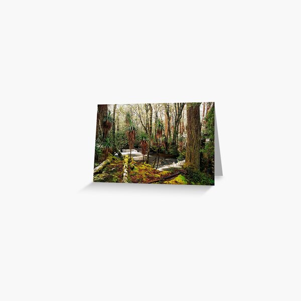 Pine Valley in winter Greeting Card