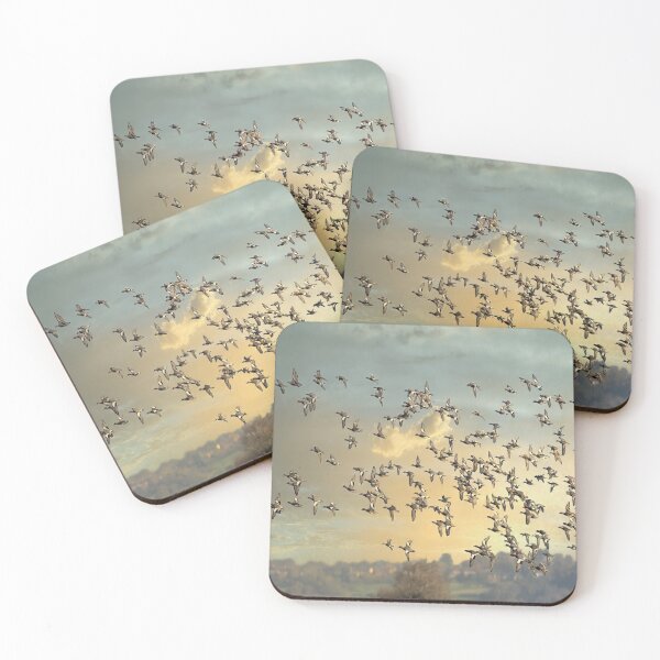 Item preview, Eurasian teal  designed and sold by Darren Wilkes.