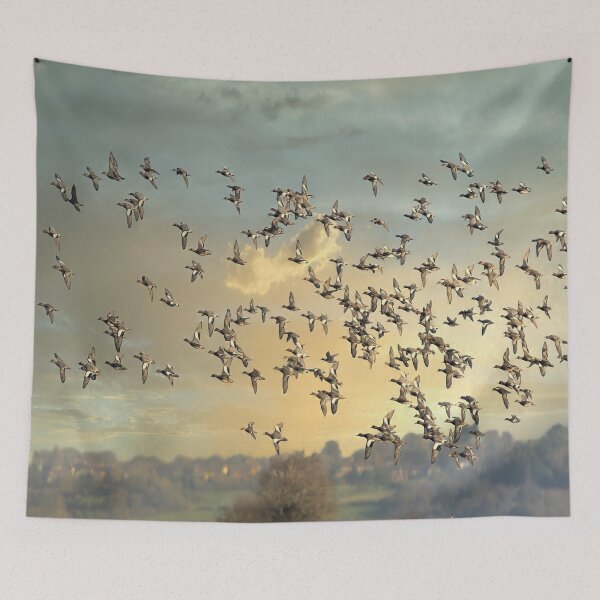 Item preview, Eurasian teal  designed and sold by Darren Wilkes Wildlife UK.