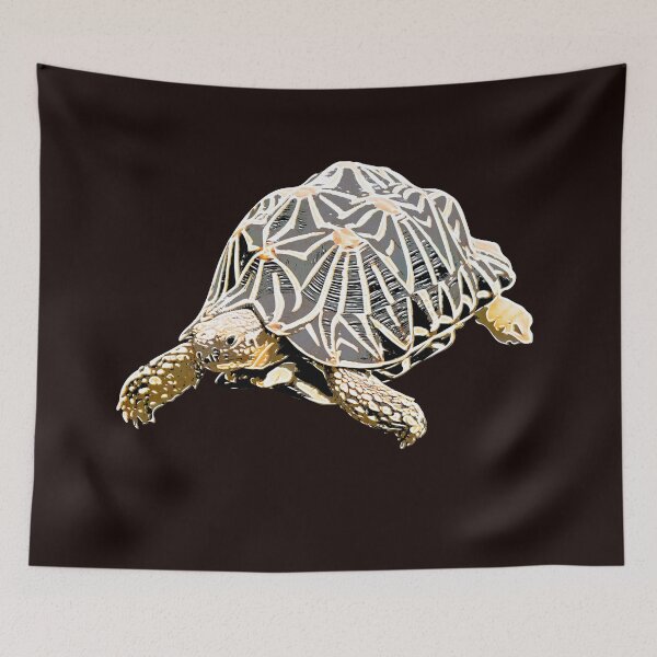 Item preview,   Indian Star Tortoise White Alternate Print  designed and sold by designsasstultd.
