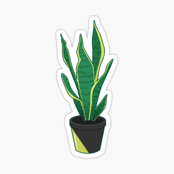 snake plant Sticker