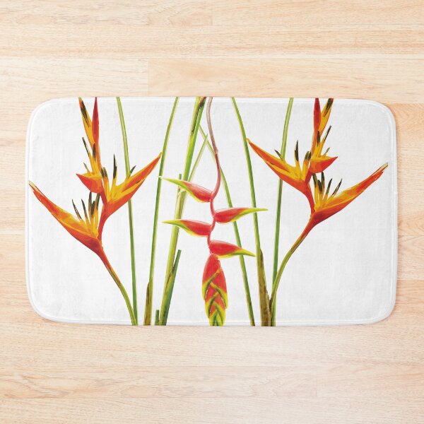 Item preview, Tropical Heliconia flower with withe background designed and sold by Move-Art.