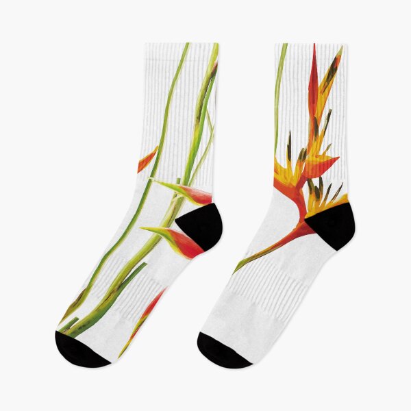 Item preview, Tropical Heliconia flower with withe background designed and sold by Move-Art.