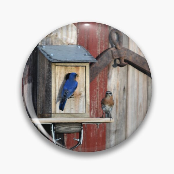 Item preview, Looks Like Home designed and sold by christiane.