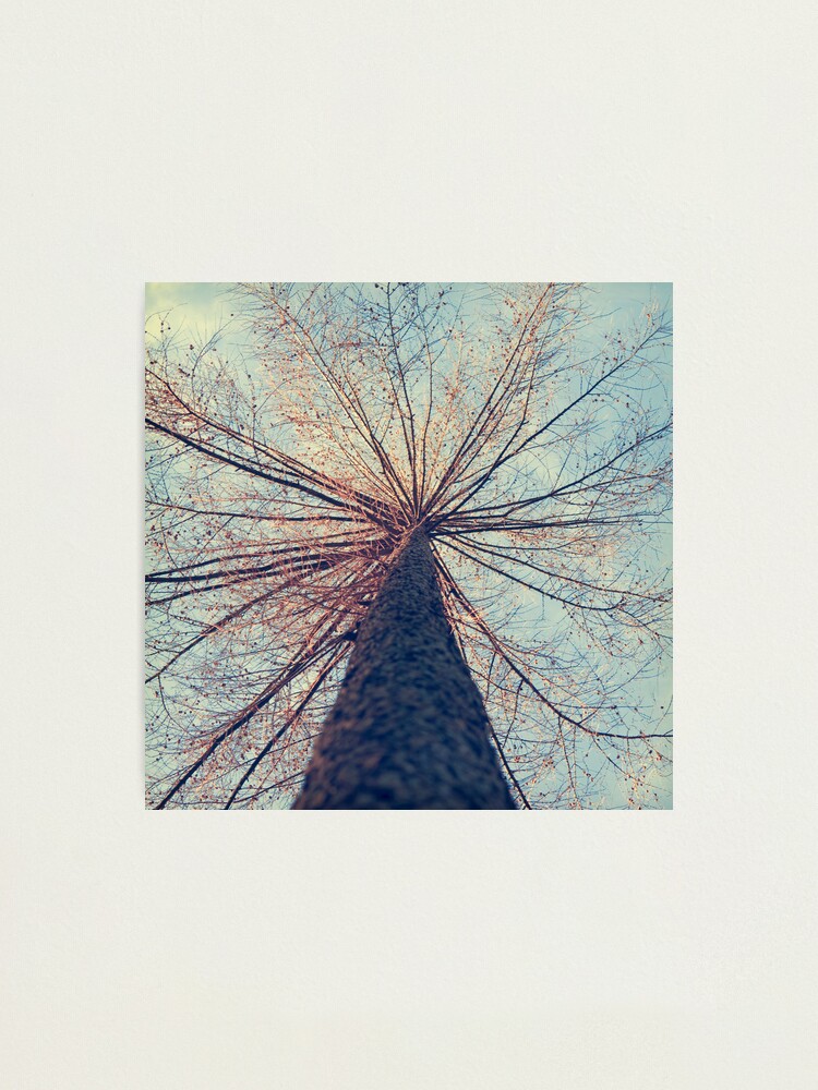 Alternate view of Stand Tall Photographic Print
