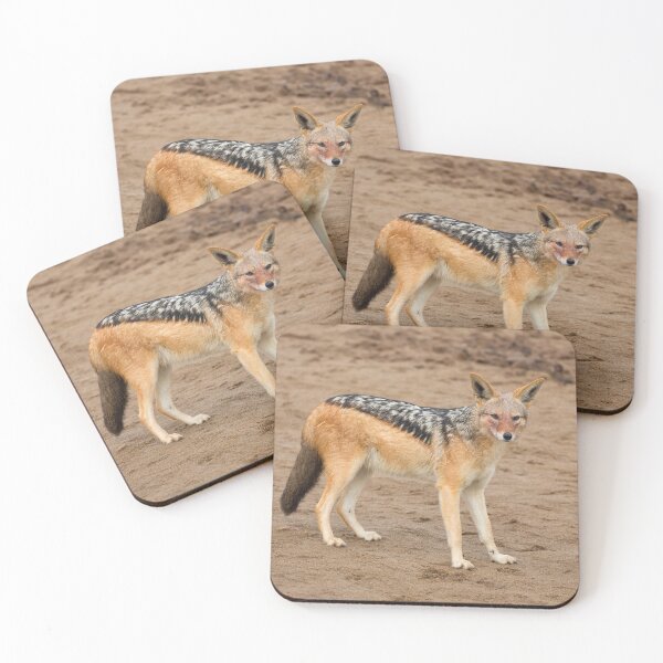 Item preview, Black-Backed Jackal (Canis Mesomelas) designed and sold by Yair Karelic.