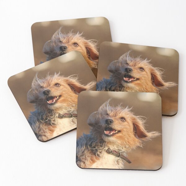 Item preview, Windswept designed and sold by GreyFeatherPhot.