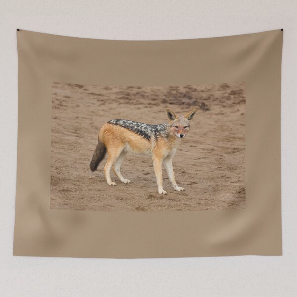 Item preview, Black-Backed Jackal (Canis Mesomelas) designed and sold by Yair Karelic.