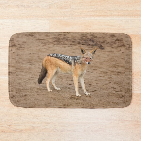 Item preview, Black-Backed Jackal (Canis Mesomelas) designed and sold by Yair Karelic.