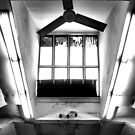 Plastics Club WIndow by Amy E. McCormick