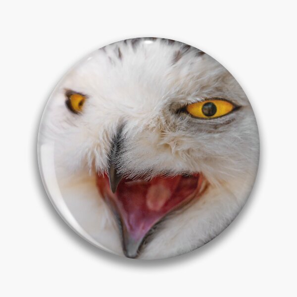 Item preview, Snowy Owl Laugh designed and sold by Dalyndigital Photography.
