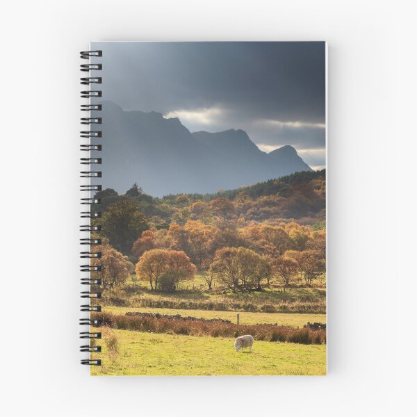 Item preview, Light Shafts over Ben Loyal designed and sold by bitm2007.