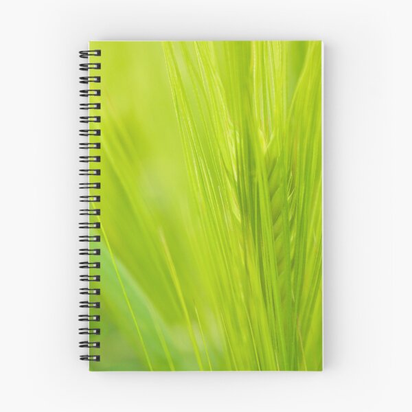 Item preview, Wheat field designed and sold by Latch Farm  Studios.