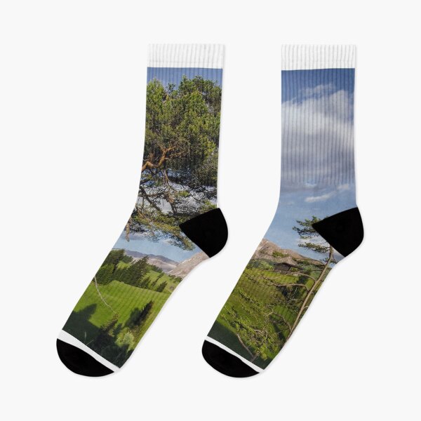 Item preview, The old tree looking on, Seiser Alm, Dolomites, Italy designed and sold by KeiserOne.
