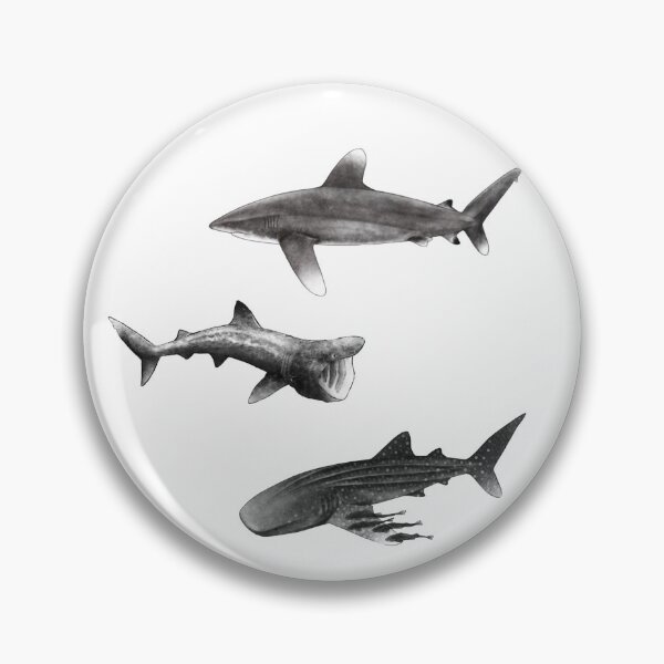 Item preview, Sharks : Oceanic Whitetip, Basking Shark, Whale Shark designed and sold by Moana Matron Designs.
