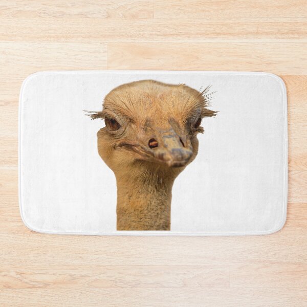 Item preview, Ostrich portrait designed and sold by Dalyndigital Photography.
