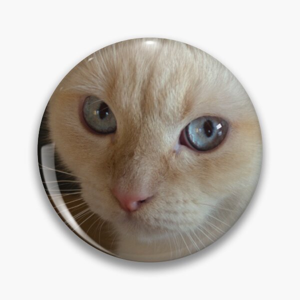Item preview, Cattitude designed and sold by GryphDesigns.