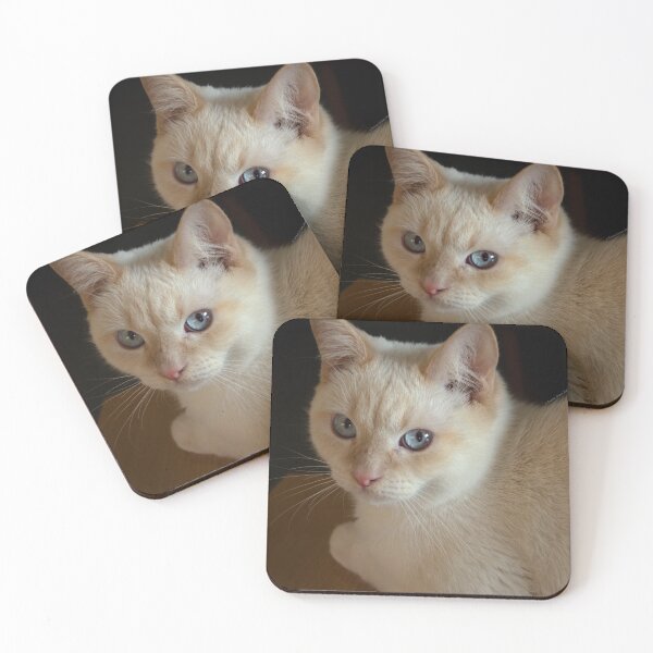Item preview, Cattitude designed and sold by GryphDesigns.