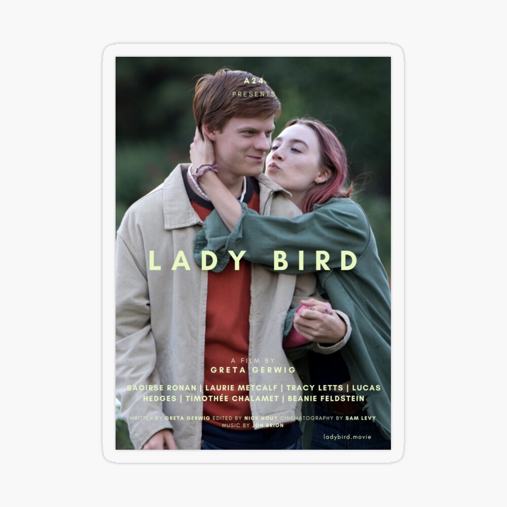 レア B2大 ポスター LADY BiRD feat.ソンイ Lady Bird 2017 Japanese