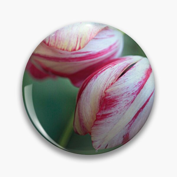 Item preview, Two colorful tulips on green background designed and sold by olena2552.