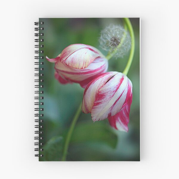Item preview, Two colorful tulips on green background designed and sold by olena2552.