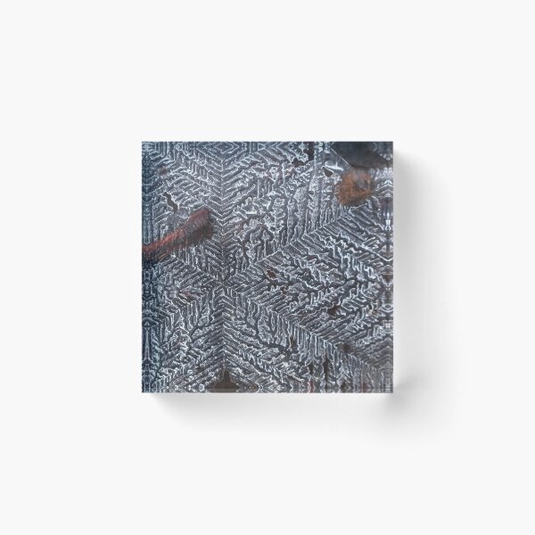 Item preview, Branching water designed and sold by Daniel Holtmeyer.