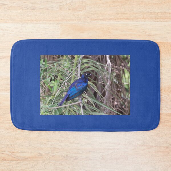 Item preview, Burchell's Starling (Lamprotornis australis) designed and sold by Yair Karelic.