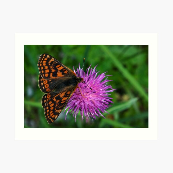 Sweet encounter Art Print