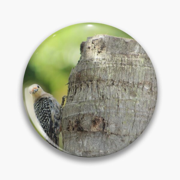 Item preview, Woodpecker designed and sold by alicede.