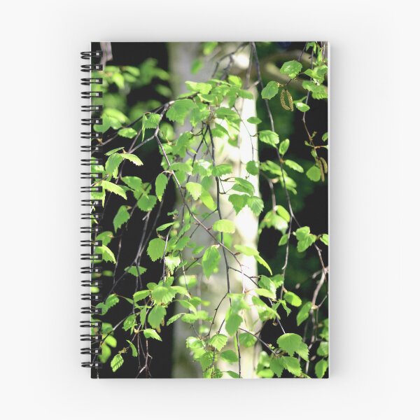 Item preview, Birch tree leaves against the bark in the sunshine designed and sold by chihuahuashower.