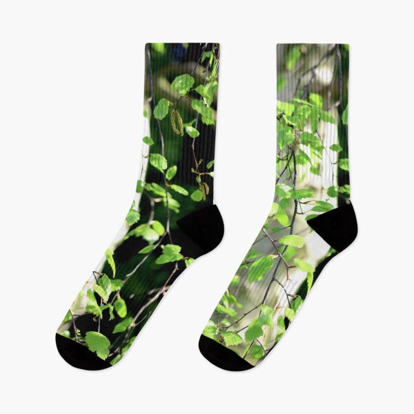 Item preview, Birch tree leaves against the bark in the sunshine designed and sold by chihuahuashower.