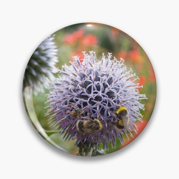 Item preview, Busy white tailed bumble bees on spike chinos in a cottage garden in Scotland designed and sold by Latch Farm  Studios.