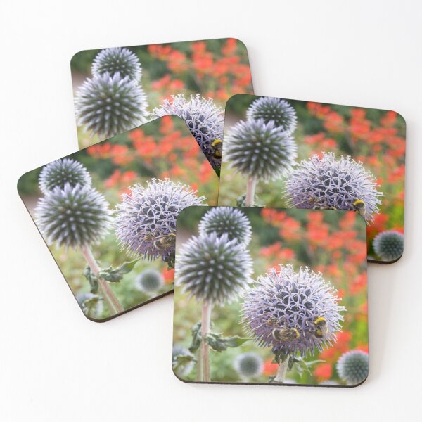 Item preview, Busy white tailed bumble bees on spike chinos in a cottage garden in Scotland designed and sold by Latch Farm  Studios.