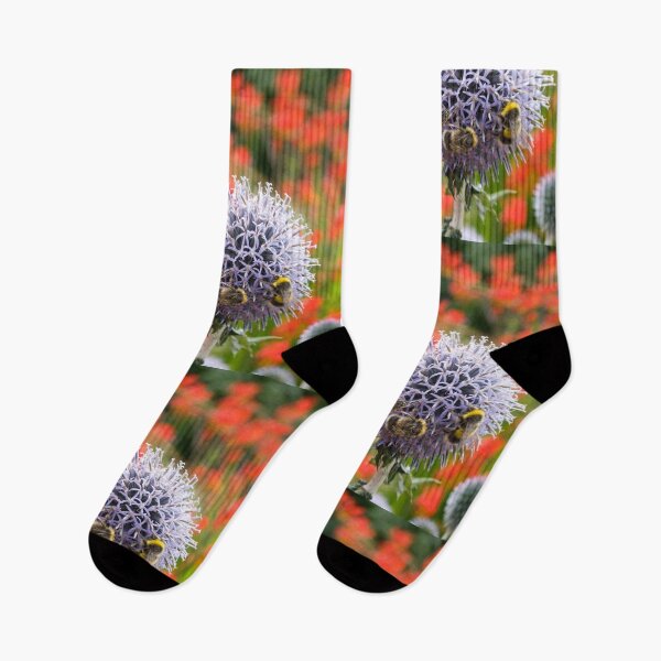 Item preview, Busy white tailed bumble bees on spike chinos in a cottage garden in Scotland designed and sold by Latch Farm  Studios.