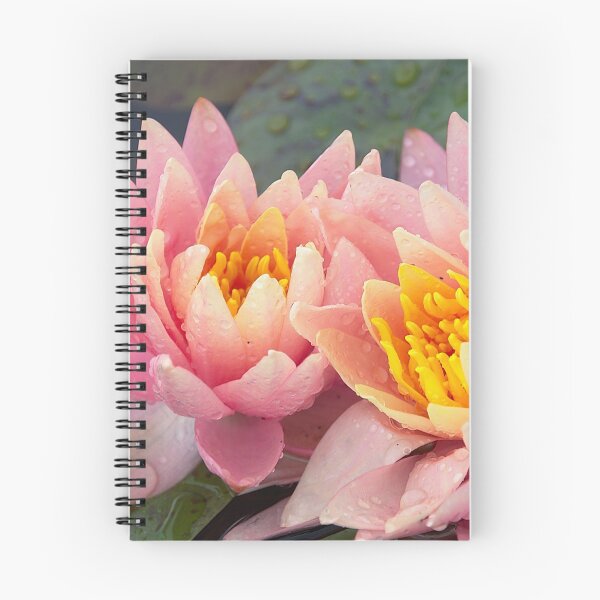 Item preview, Pink Water Lily Pair designed and sold by ThruJensLens.