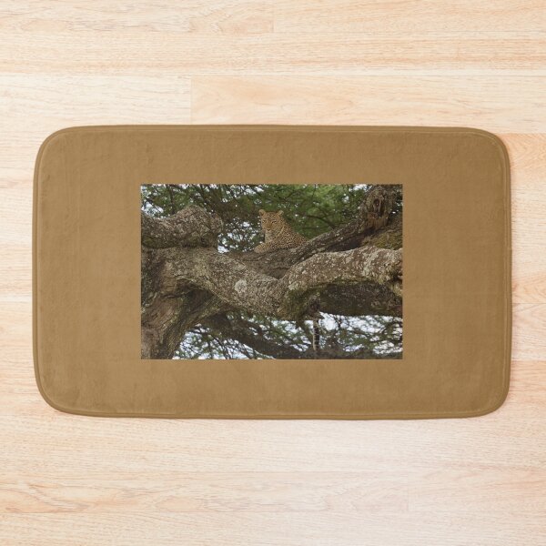 Item preview, African Leopard (Panthera pardus pardus) on a Tree designed and sold by Yair Karelic.